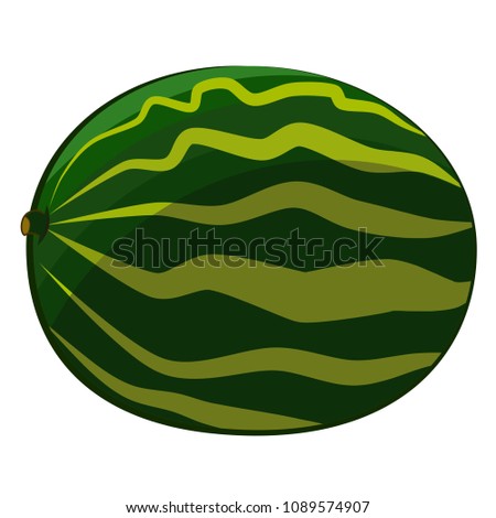 Watermelon Transparent Vector Ilustration