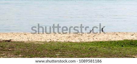 Green grass, white sand and ocean view background image during summer day. A summer day background image
