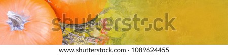 Orange pumpkin over beauty bright autumnal nature background. Autumn Thanksgiving day. Halloween Pumpkins, Holiday Thanksgiving festival concept. Fall, Harvest. Horizontal banner, copy space.