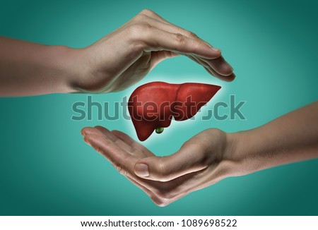 A human liver between two palms of a woman on  blue and green background. The concept of a healthy liver. Royalty-Free Stock Photo #1089698522