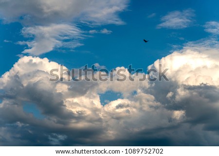 dark cloud and crow