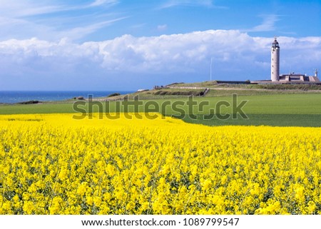 Lighthouse of the Cap-Gris-Nez, with Yellow & Green fields. (Cote Opale, North pas de Calais, France)