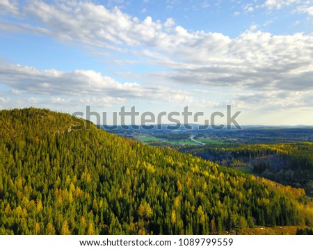 Drone view of Forrest covered hill in Sweden