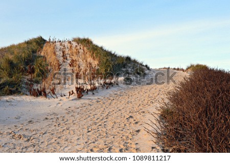 Dunes and a way to the Beach - Impression of the amazing North Sea in Denmark