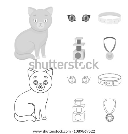 Cat eyes, a collar, a house for a cat, a medal on a ribbon.Cat set collection icons in outline,monochrome style vector symbol stock illustration web.