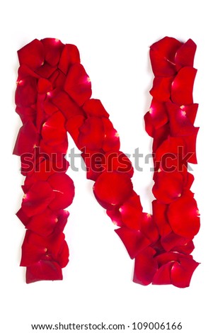 Alphabet letter N made from red petals rose isolated on a white background