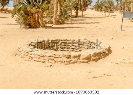 Northern Sinai, Egypt - 19 February 2008: Moses Springs, Water wells and palms. Suez Canal Royalty-Free Stock Photo #1090063502