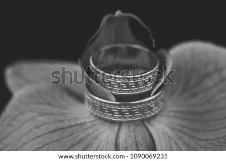 Closeup of violet fresh orchid flower with two beautiful wedding golden rings on dark blur backgroud, horizontal picture
