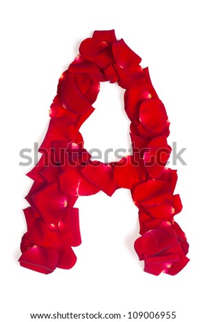 Alphabet letter A made from red petals rose isolated on a white background