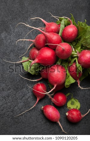 Crop radish lettuce, agriculture, red bunch.