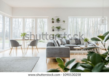 Grey armchairs at wooden table near corner couch with cushions in scandi living room interior