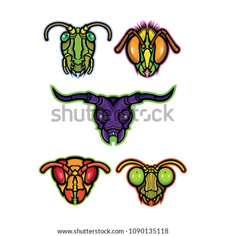 Mascot icon illustration set of heads of insects like grasshopper, cricket or locust, honey bee or bumblebee, long-horned beetle, hornet or wasp and praying mantis viewed from front in retro style.
