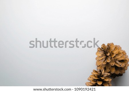 Abstract Pine cones on white background picture for celebrate or festivities