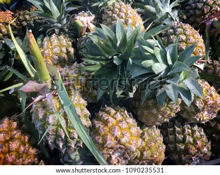 Pineapple raw fruits