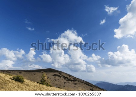 Photo Image of a beautiful dry landscape of the Carpathian Mountains. Spring natural background