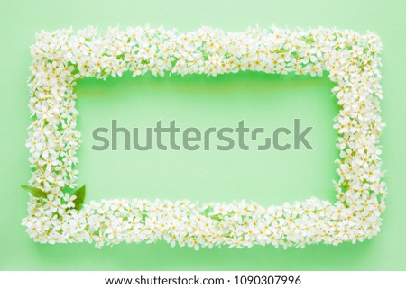 Fresh branches of bird cherry white blossoms on pastel green desk. Soft light color. Mockup for special offers as advertising or other ideas. Empty place for inspirational, motivational text or quote.