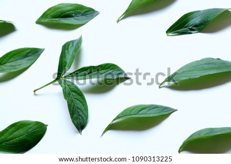 Green leaves on white background pattern. Royalty-Free Stock Photo #1090313225