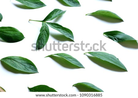 Green leaves on white background pattern. Royalty-Free Stock Photo #1090316885
