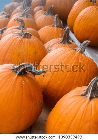 Pumpkins for sale in the fall outside a shop in Montpelier, Vermont, USA