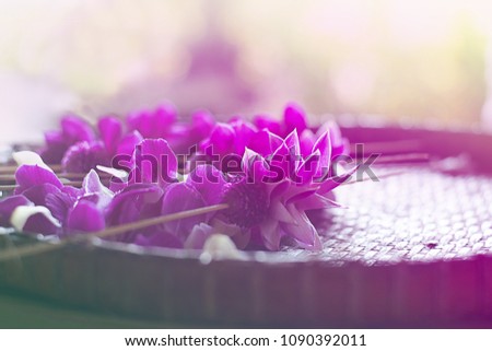 The garland of the orchid flower is placed on a basket.