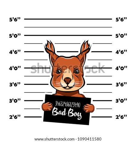 Squirrel bad boy criminal. Arrest photo. Police records. Squirrel prison. Police mugshot background. Vector illustration.