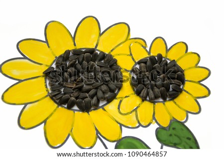 Hand-made picture of lovely sunflower. Painted with yellow and green gouache and glued black seeds. Art on the white background