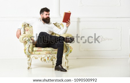 Knowledge concept. Man with beard and mustache sits on armchair and reading book, white wall background. Macho smart spends leisure with book. Scientist, professor on serious face explores literature