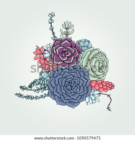 Vector succulents floral composition. Succulent ornament.  Natural bouquet. Colored succulents and cactus floral print. Hand drawn art work.