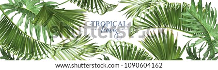 Vector horizontal tropical leaves banners on white background. Exotic botanical design for cosmetics, spa, perfume, health care products, aroma, wedding invitation. Best as web banner Royalty-Free Stock Photo #1090604162