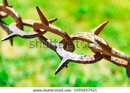 Old and rusty chain with sharp edges against the background of green grass, ban on the entrance, background of green grass with shining sun
