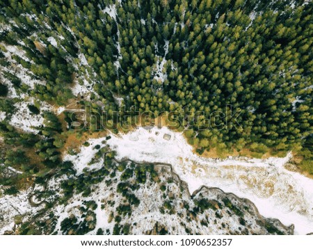 Aerial Photography of a Bright Forest in Sunny Winter Day from Top
