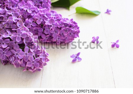 
Lilac flowers on white wooden background. Spring flowers. Top view, flat lay with copy space