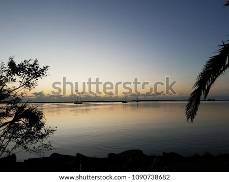 Sunset over calm water with tree branch silhouette 