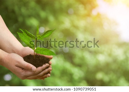 Hands holds plant, eco concept Royalty-Free Stock Photo #1090739051