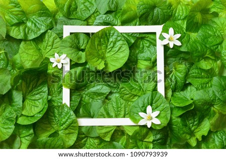 Creative layout made of leaves with white paper frame. Flat lay. Nature concept.