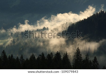 Fog and clouds above the woods in the mountains.