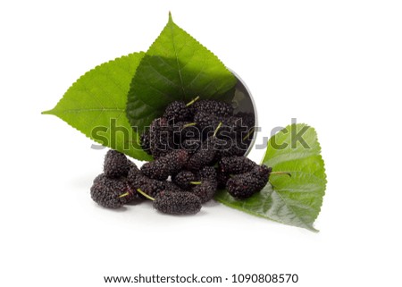 Mulberry fruit and Mulberry leaves, Mulberry isolated on white background.