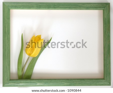 Frame with tulip. You can put your text.