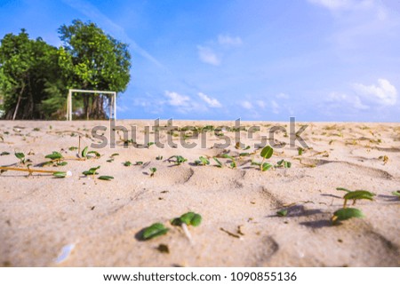Empty sea and beach background with copy space and sun light