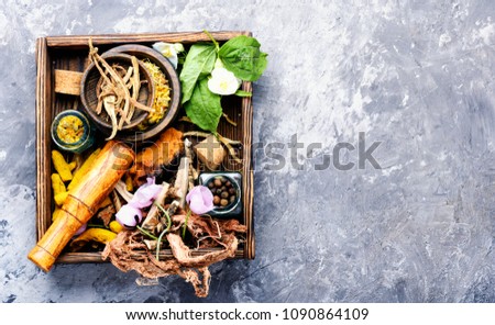 Natural herbal medicine,medicinal herbs and herbal medicinal root.Natural herbs medicine.Copy space