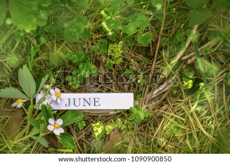 calendar block with text "June" and strawberry flowers close up on grass natural background. summer season, month of June concept. template for design. top view