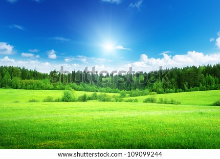 field and forest in spring time Royalty-Free Stock Photo #109099244