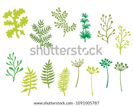 Willow and palm tree branches, fern twigs, lichen moss, mistletoe and summer grass herbs, dandelion flower vector illustrations set. Hand drawn green branches, twigs floral set isolated on white.