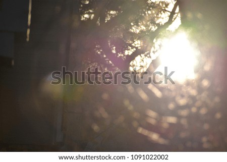gain noise , blurry focus ,sunlight under the tree