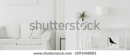 Close-up of white, metal rack with a small palm plant and a sofa in the background of a minimalist living room interior