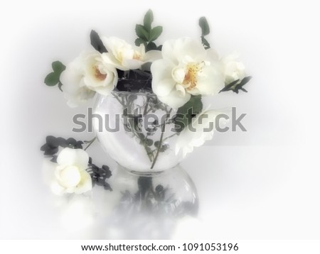                                white roses in vase on the white background