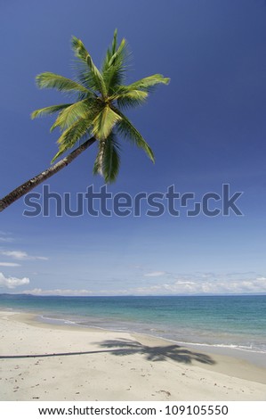 Tropical sunny beach at Coiba Island. Coiba National Park, Veraguas province, Panama, Central America.