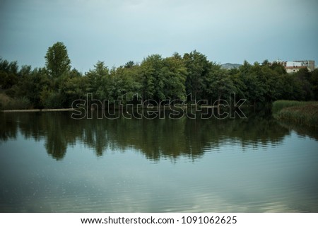 Minimal picture of a kind of magical nature landscape of a distant forest in green hues near to a calm lake/river. There’s a wide cloudy sky in turquoise colors.