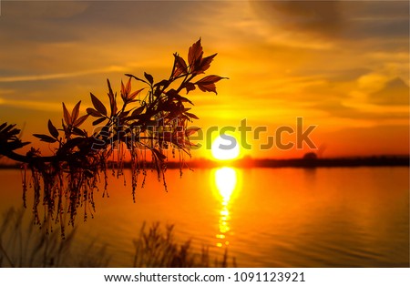 Horizon at sunset on the river. Sunset river in summer Royalty-Free Stock Photo #1091123921