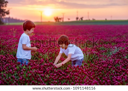 Beautiful children, brothers in gorgeous crimson clover field on sunset, gathering flowers for mom, springtime